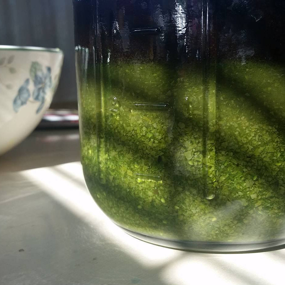 Weeds: Front Yard Foraging for Food & Medicine - XoM3 Botanical Solutions