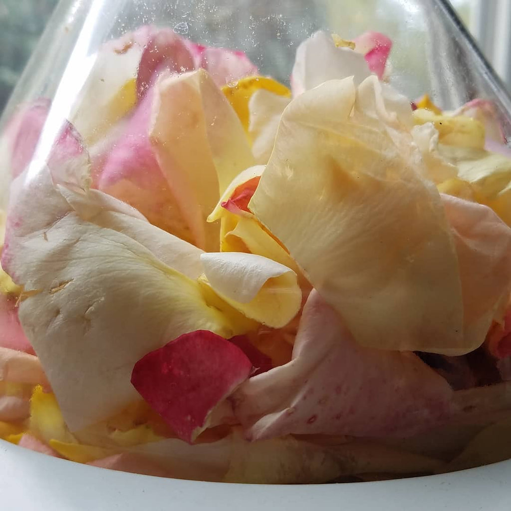 XoM3 Exploring Essentials Workshop 4/25/2019 - XoM3 Botanical Solutions