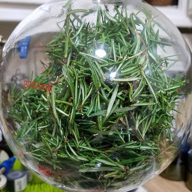 XoM3 Exploring Essentials Workshop 4/25/2019 - XoM3 Botanical Solutions