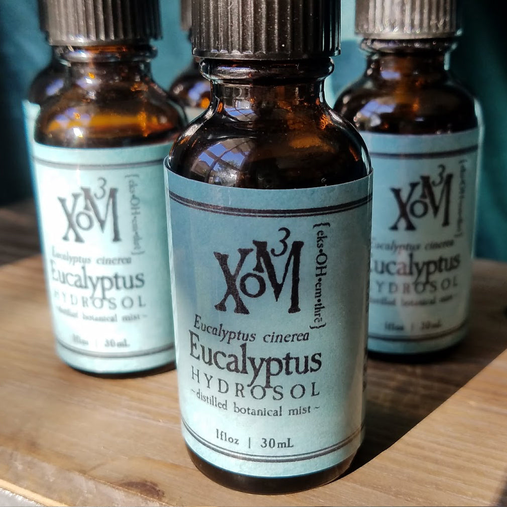 Eucalyptus Hydrosol - XoM3 Botanical Solutions